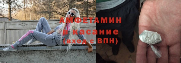 стаф Алзамай