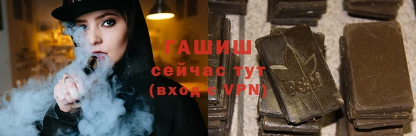 стаф Алзамай