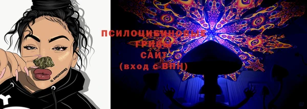 стаф Алзамай