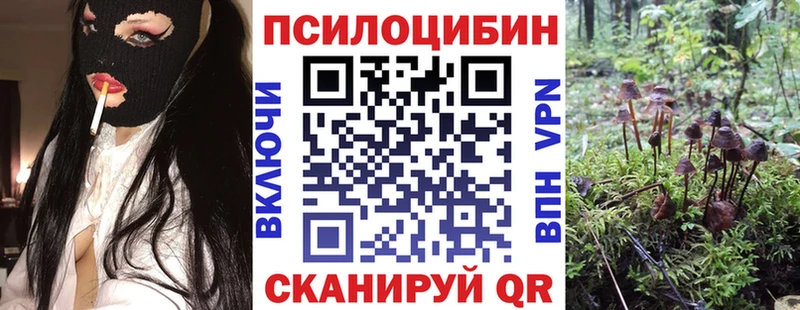 магазин продажи наркотиков Нижний Новгород Псилоцибиновые грибы прущие грибы