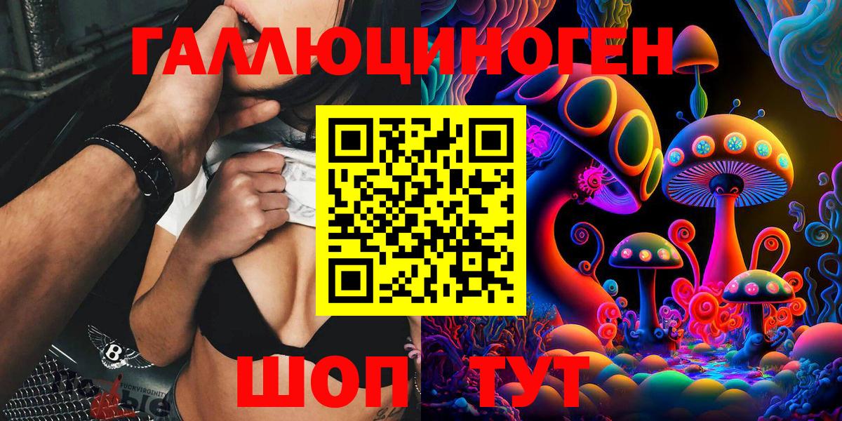 Галлюциногенные грибы Psilocybine cubensis Нижний Новгород