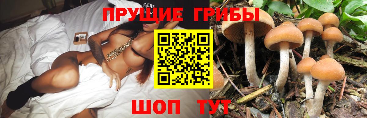 Нижний Новгород  Псилоцибиновые грибы Magic Shrooms  Вход с VPN  Псилоцибиновые грибы Psilocybe 